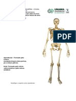 Roteiro de Aula Prática - Sistema Esquelético