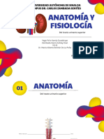 Anatomia y Fisio Renal