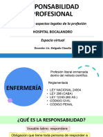 Responsabilidad Profesional