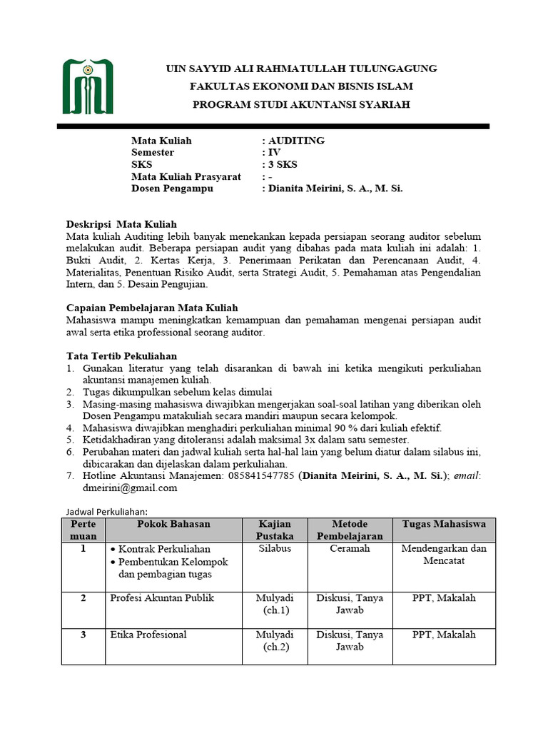 RPS Auditing | PDF