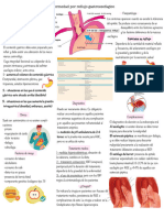 Enfermedad de Reflujo Gastroesofágico