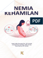 Anemia Kehamilan