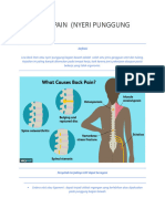 Low Back Pain (Nyeri Punggung Bawah)