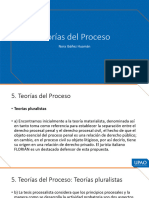 Teorías Del Proceso