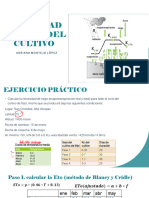 Necesidad Hidrica Del Cultivo