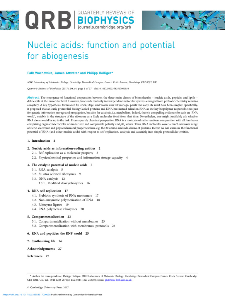 Nucleic Acids Function and Potential For Abiogenesis PDF Rna