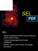 Konsep Sel