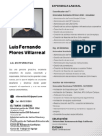 Luis Fernando Flores Villarreal: Experiencia Laboral