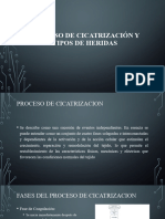 Proceso de Cicatrización y Tipos de Heridas