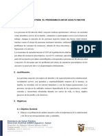 MODELO PLAN DE ACCION 2023 Adultos Mayores Salud Mental-Signed