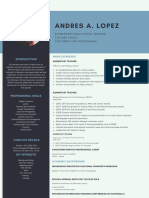 CV Andres Alejandro Lopez Galeas