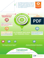 Infografia Garcinia Cambogia Tendiren