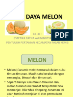Budi Daya Melon