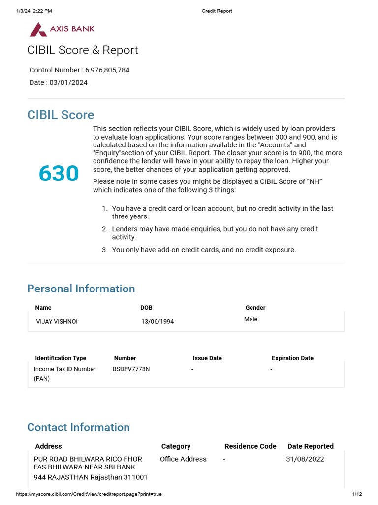 CIBIL Credit Report Overview | PDF | Finance & Money Management | Credit