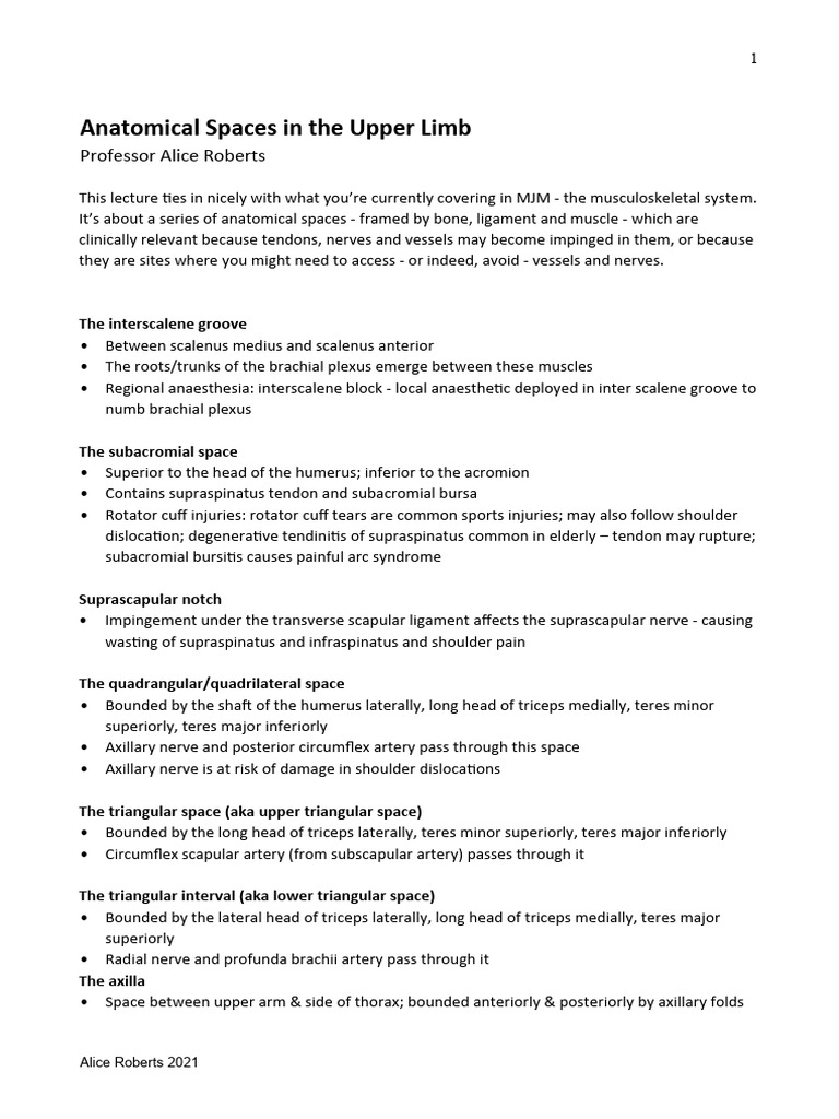 Anatomical Spaces Of Upper Limb Pdf Shoulder Musculoskeletal System