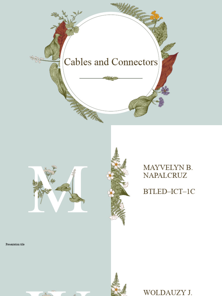 CABLESANDCONNECTORS PDF Usb Hdmi