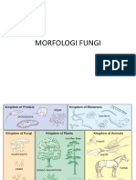 Morfologi Fungi