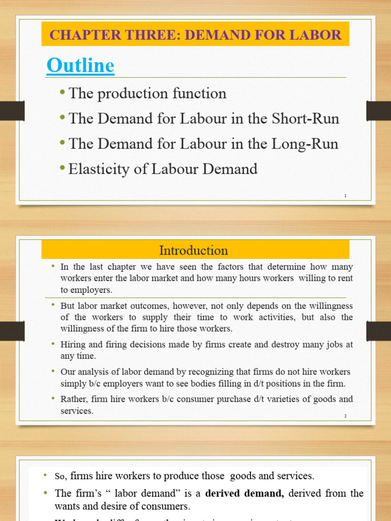 Understanding Labor Demand Dynamics | PDF | Labour Economics | Demand