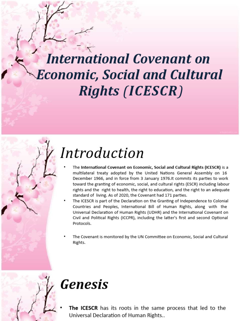 Overview of the ICESCR Treaty | PDF | Constitutional Amendment | Justice