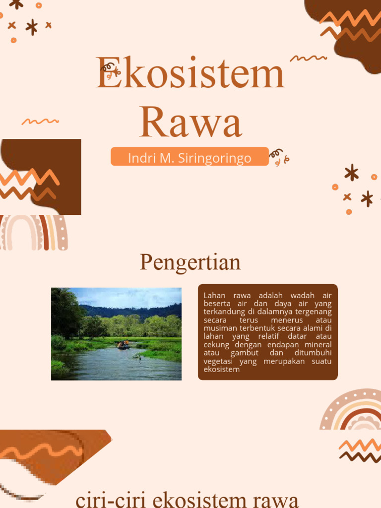 Ciri dan Rantai Makanan Ekosistem Rawa | PDF