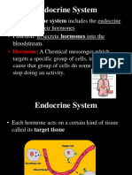 9 - Q2 - Endocrine and Reproductive System