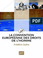 Que Sais Je La Convention Européenne Des Droits de L'homme Sudre