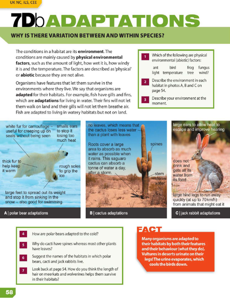 Adaptations in Plants and Animals | PDF | Habitat | Water