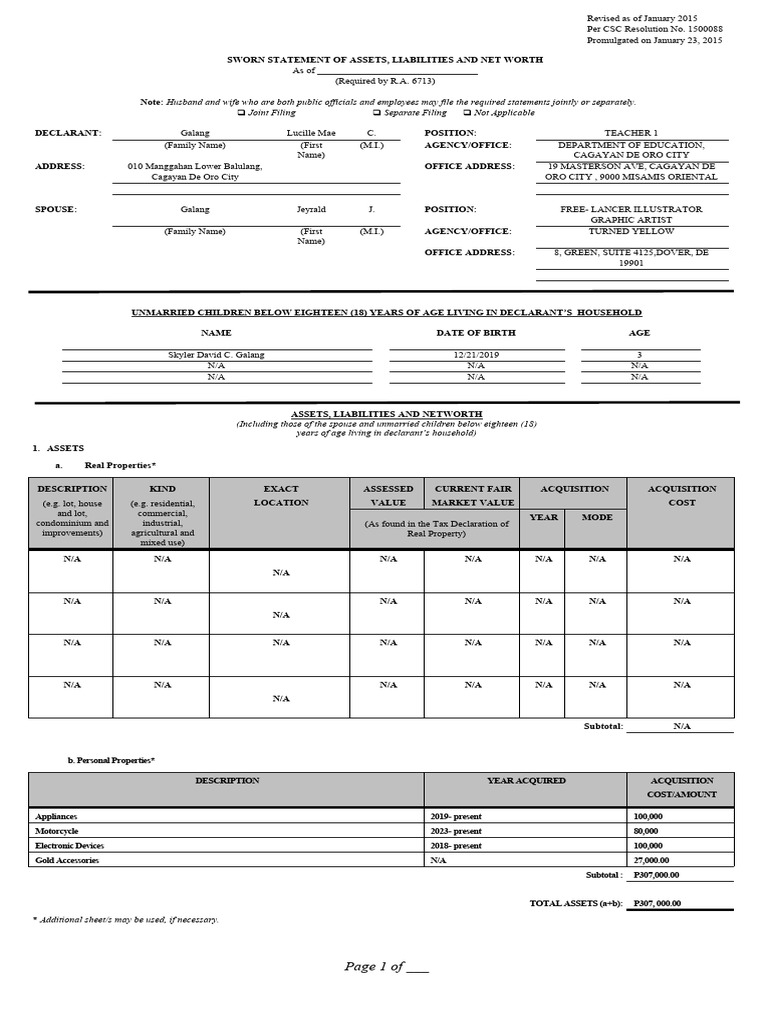 2015-saln-form-pdf-net-worth-money