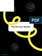 C11 - The Nervous System