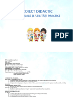 Proiect Didactic Arte Vizuale Si Abilitati Practice