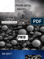 Le Polveri Sottili - PM10 e PM 2,5