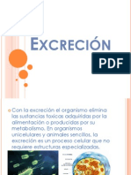 Excreción.. Vale