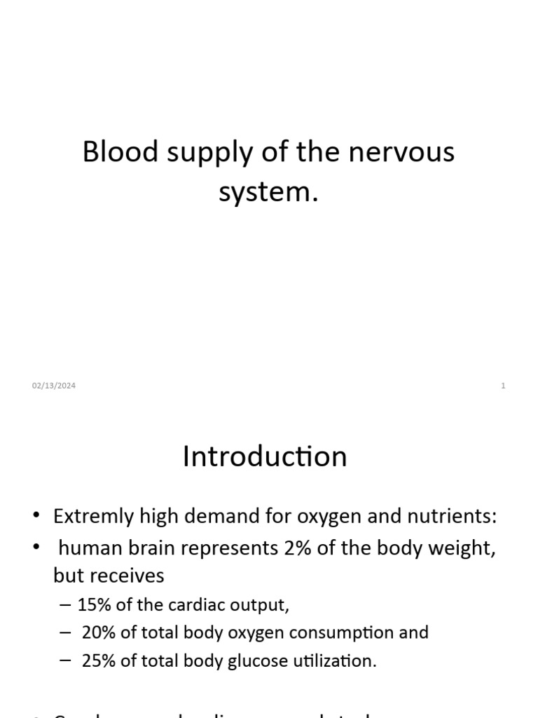 Blood Supply of The Nervous System 12 | Download Free PDF | Vein ...