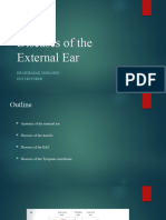 Diseases of The External Ear 2