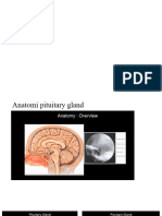 Belajar CT 3 Pituitary Gland