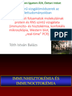 Modern Technikák Kredit Kurzus - A Jelátviteli Folyamatok Molekuláinak Protein És RNS Szintű Vizsgálata - 20200317