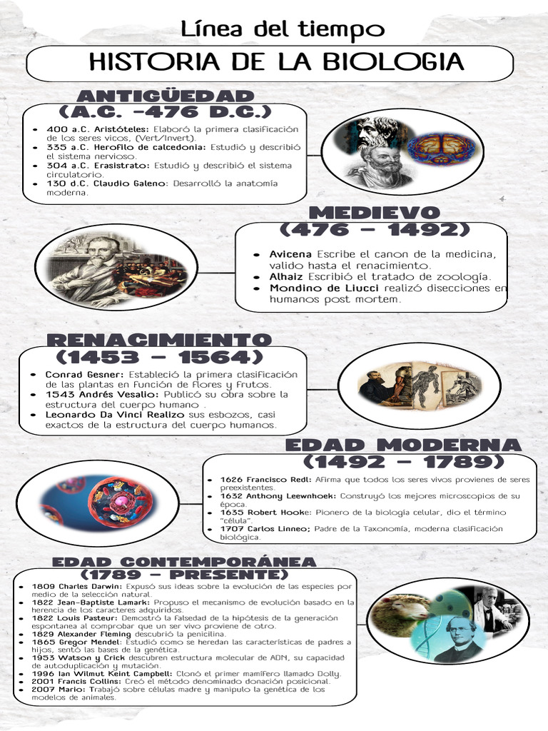 Lnea De Tiempo Historia De La Biologa Línea Del Tiempo Biología