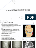 Patologia Genunchiului