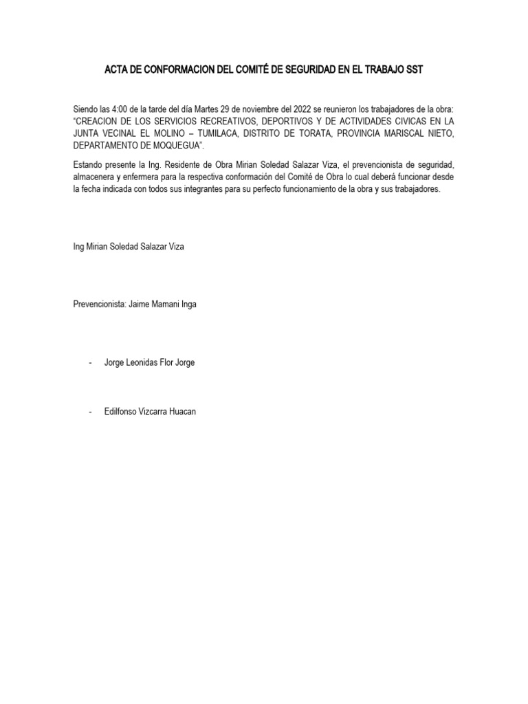 Acta de Conformacion Del Comité de Seguridad en El Trabajo SST | PDF