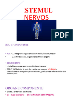Sistemul Nervos 1