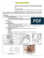 Hérnias Da Parede Abdominal