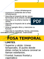 11 Fosa Infra Temporal Fosa Mandibular