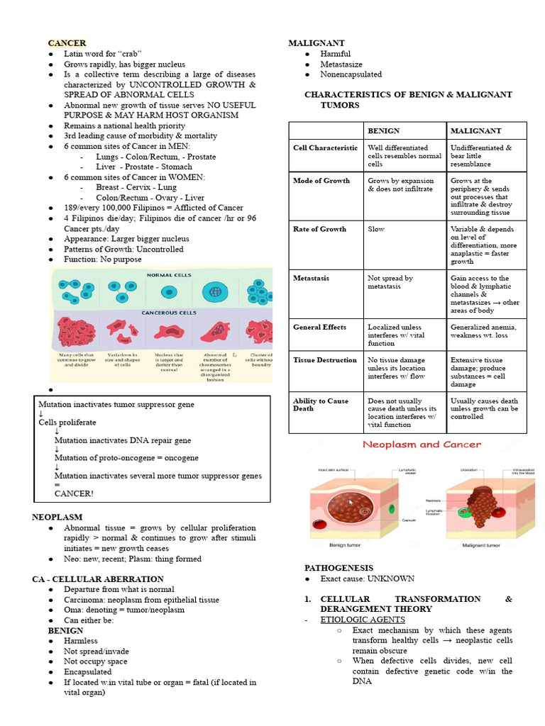 Understanding Cancer: Types, Causes, and Treatment | PDF | Metastasis ...