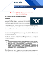 Práctico Nº 3. Nutrición. Anatomía de La Absorción. Órganos Del Tubo Digestivo Que Intervienen en La Absorción