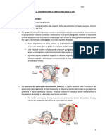 Tema 1. Traumatismo Cráneo Encefálico. Pic