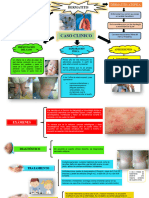 Mapa Conceptual de Dermatitis