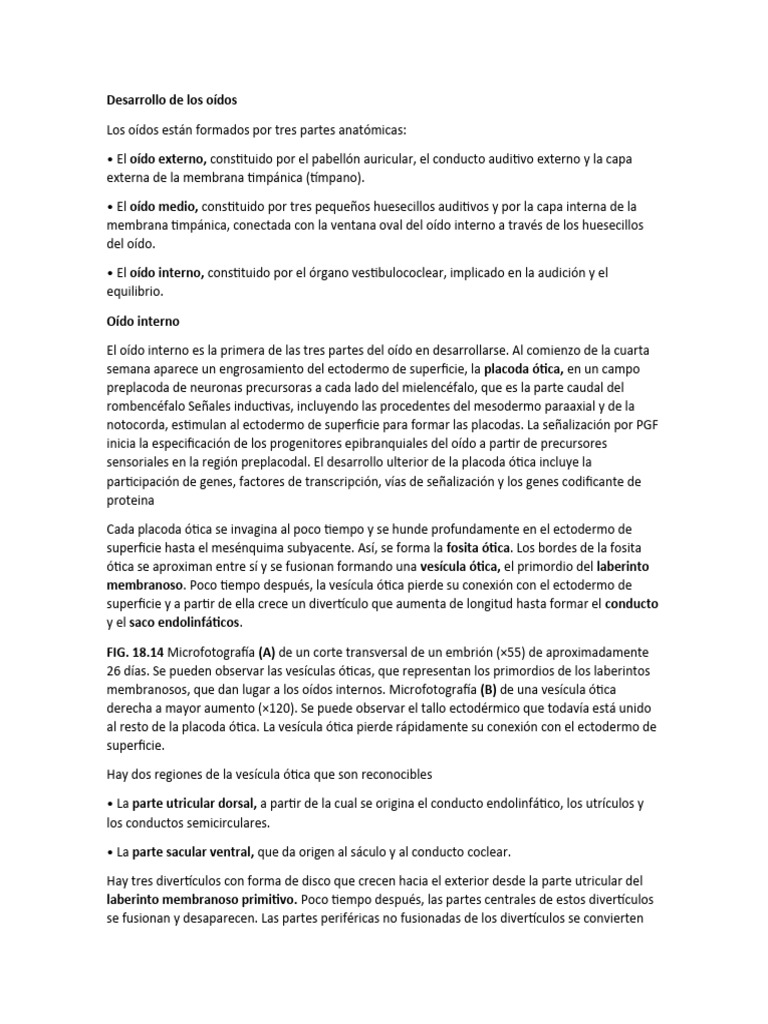 Exposicion Yuneiker Embriologia | PDF | Oído | Sistema nervioso