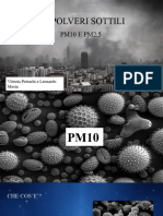 Le Polveri Sottili - Pm10 e PM 2,5