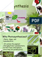 Photosynthesis