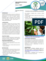 ALANA e Alunos - VIVER CIÊNCIA - Painel Científico 2023 PDF